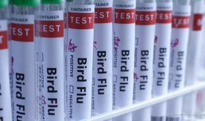 H5N1 Bird Flu Reaches Australia, Now Present on Every Continent