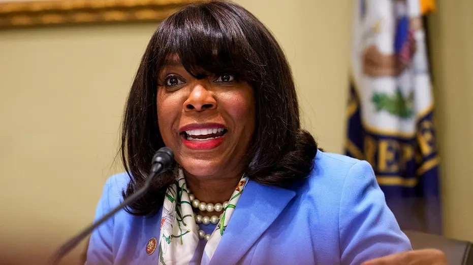 House Dem lashes out at GOP efforts to probe foreign donations with stunning claim on motive