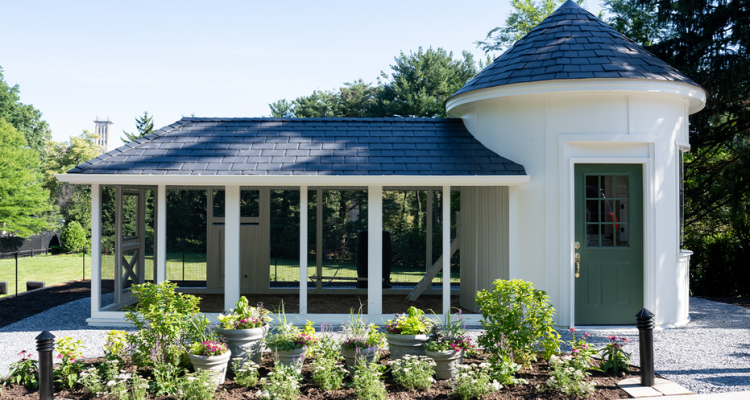 JD Vance Installs Custom Chicken Coop at Naval Observatory