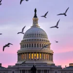 Morning Glory: Countryside vs. Capitol Part I