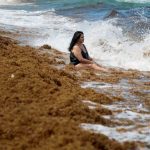 Record Seaweed Bloom Causes Respiratory Distress and Health Concerns