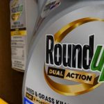 Supreme Court Rules for Monsanto in Weedkiller Cancer Lawsuit