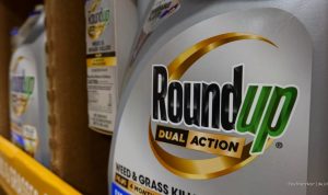 Supreme Court Rules for Monsanto in Weedkiller Cancer Lawsuit