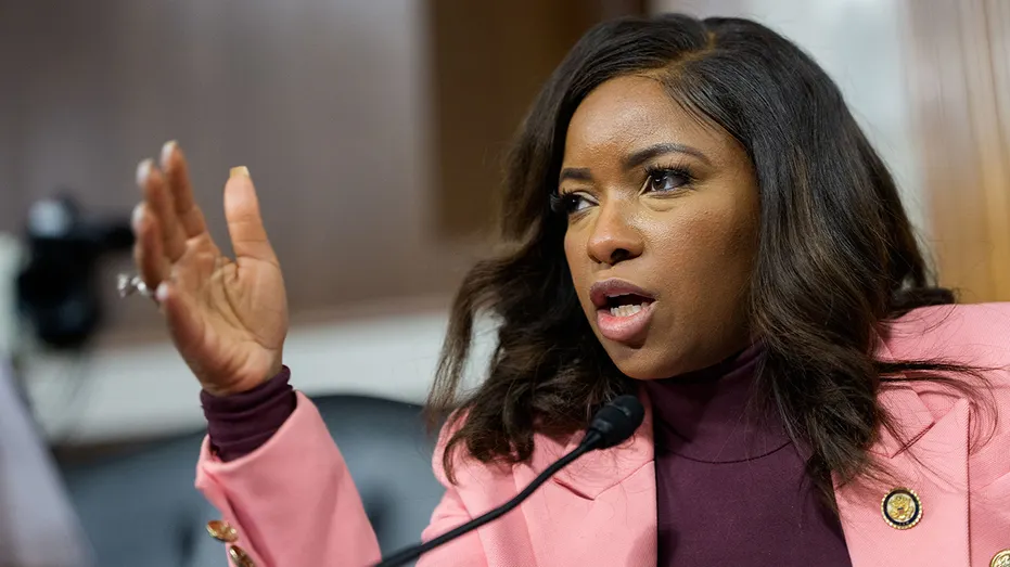 WATCH: Hearing turmoil as Jasmine Crockett unloads on MLK's niece in wild racially-charged rant