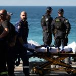 Woman Seriously Injured in Shark Attack at Sydney Beach