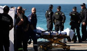 Woman Seriously Injured in Shark Attack at Sydney Beach