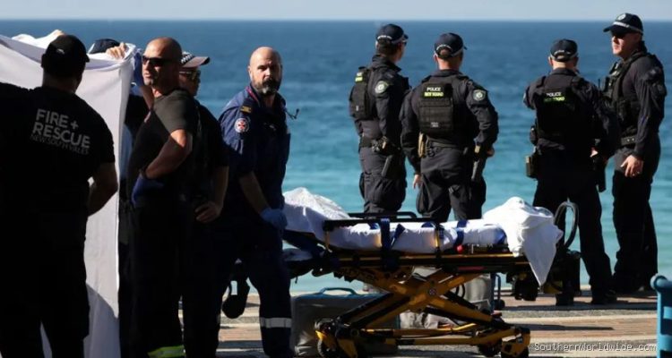 Woman Seriously Injured in Shark Attack at Sydney Beach