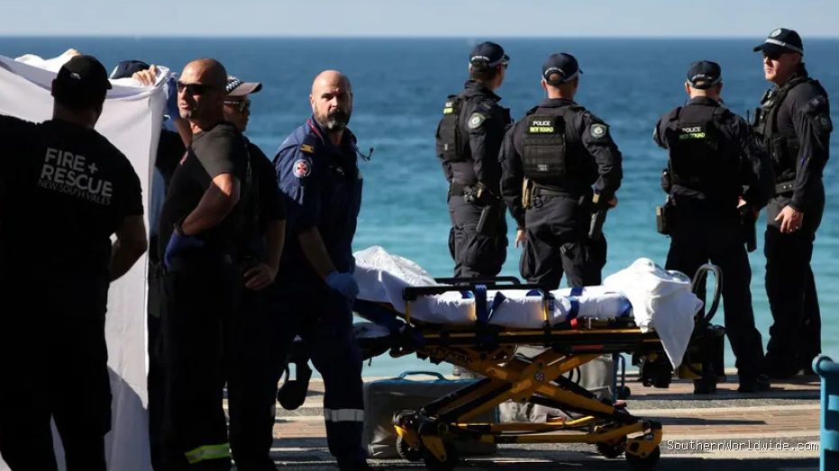 Woman Seriously Injured in Shark Attack at Sydney Beach