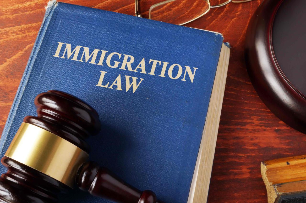 The Role of Lawyers in Immigration Policy Reform