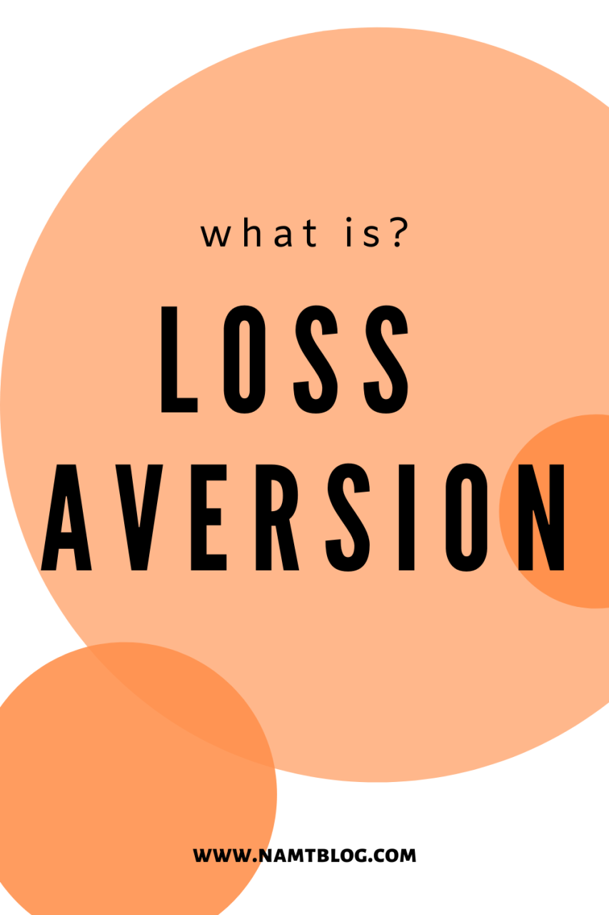 The Psychology of Loan Aversion
