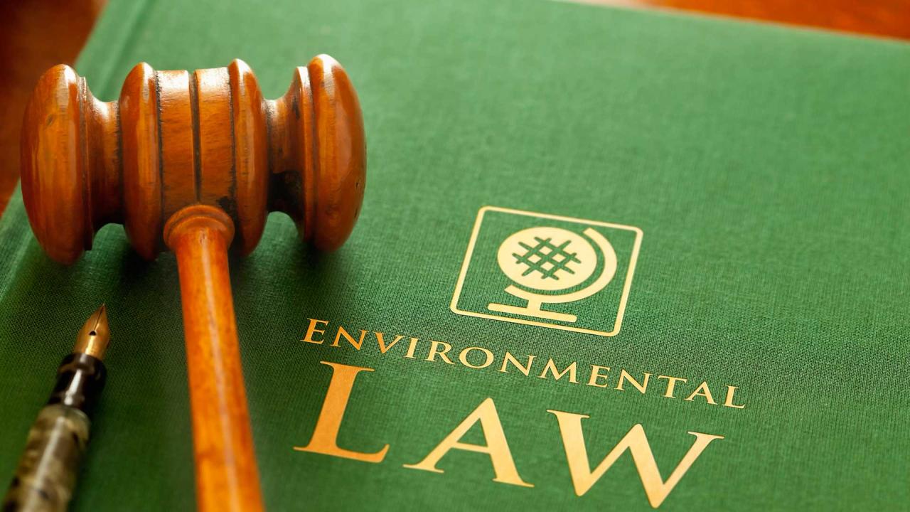 The Role of Lawyers in Environmental Conservation: A Student's Perspective