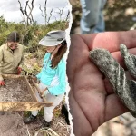 Ancient Artifacts Unearthed Near Cape Canaveral, One Mystery Puzzles Researchers