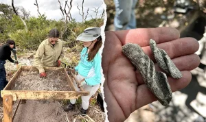 Ancient Artifacts Unearthed Near Cape Canaveral, One Mystery Puzzles Researchers