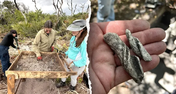 Ancient Artifacts Unearthed Near Cape Canaveral, One Mystery Puzzles Researchers