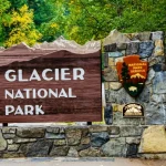 Apparent Bear Attack Kills Missing Hiker in Glacier National Park