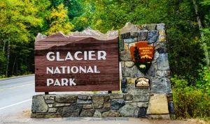 Apparent Bear Attack Kills Missing Hiker in Glacier National Park
