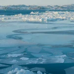 Arctic Sea Ice Reaches New Winter Low Amidst Global Heat Extremes