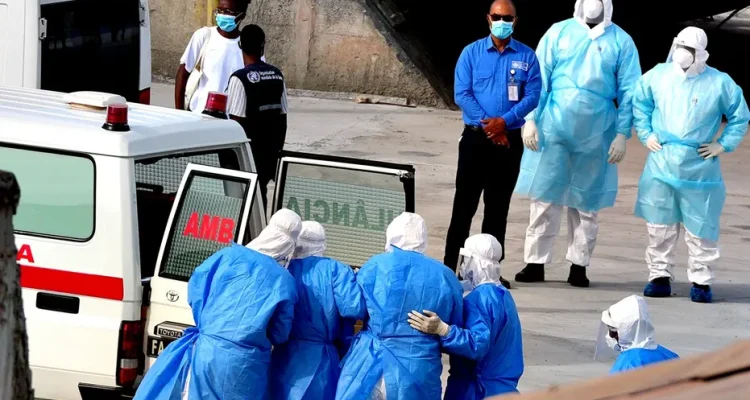 Argentine Investigators Focus on Hantavirus Origin in Deadly Cruise Outbreak