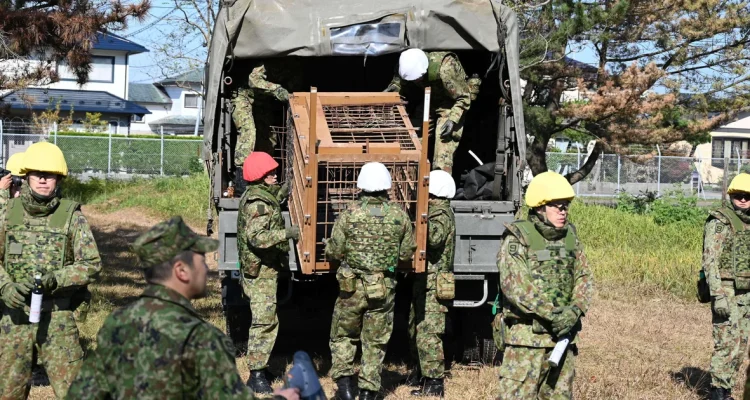 Bear attacks woman in Japan, two other fatalities suspected