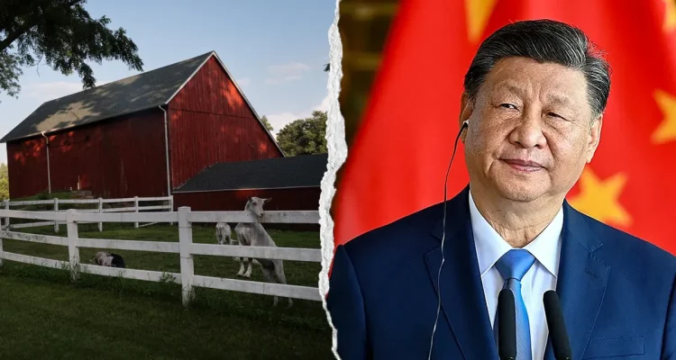 China's Crop Control Threatens American Food Security