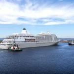 Cruise Ship Bravely Navigates Stormy Pacific to Rescue Stranded Sailor