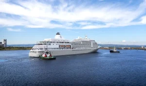 Cruise Ship Bravely Navigates Stormy Pacific to Rescue Stranded Sailor