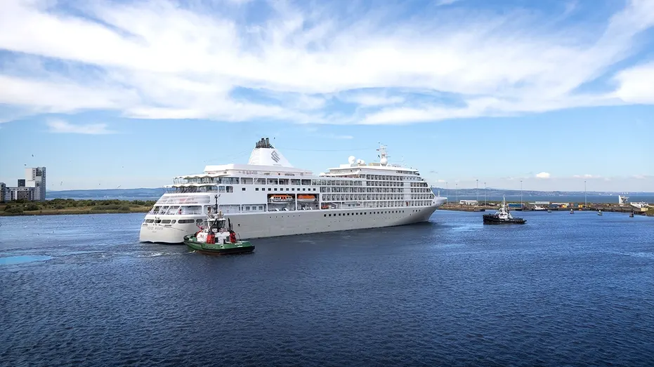 Cruise Ship Bravely Navigates Stormy Pacific to Rescue Stranded Sailor