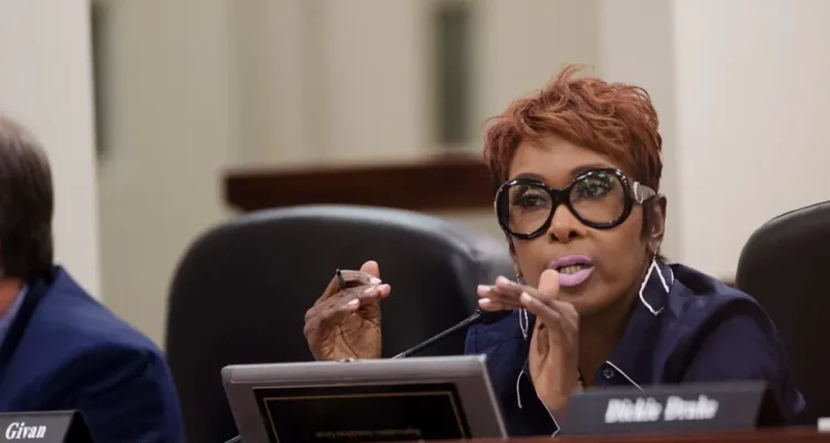 Democrat lawmaker criticizes Supreme Court justice over redistricting decision