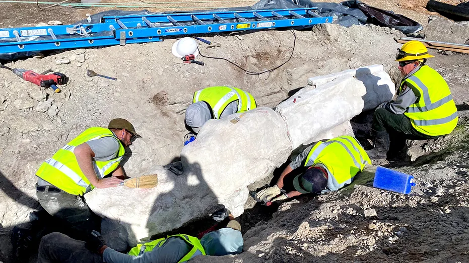 Dinosaur Fossils Found During National Park Parking Lot Construction