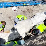 Dinosaur Fossils Found During National Park Parking Lot Construction