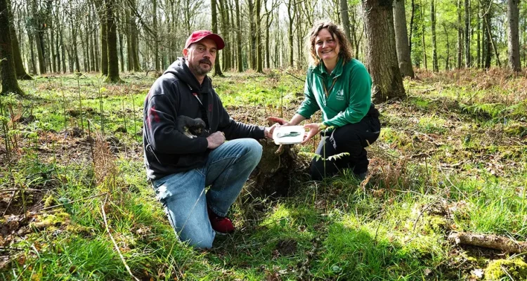 Dog Walker's Routine Walk Leads to 'Incredible' 3,000-Year-Old Find in Forest