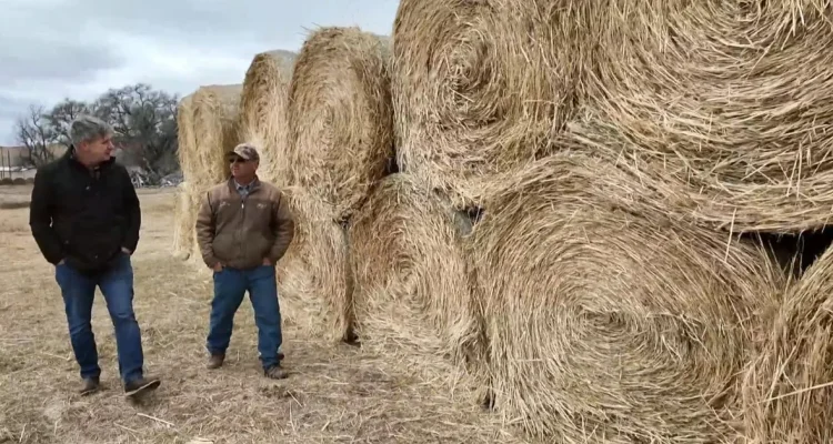 Donors Help Nebraska Ranchers Recover Losses