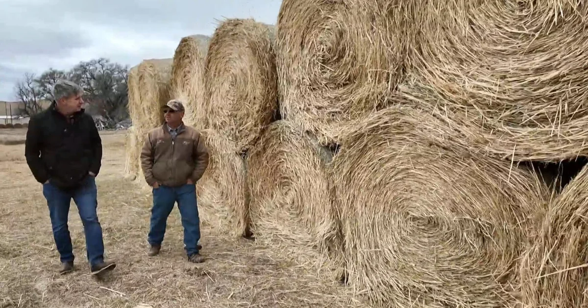 Donors Help Nebraska Ranchers Recover Losses