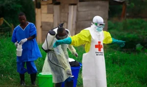 Ebola Outbreak in Central Africa Declared Public Health Emergency by WHO