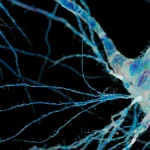 Experimental ALS treatments offer new hope