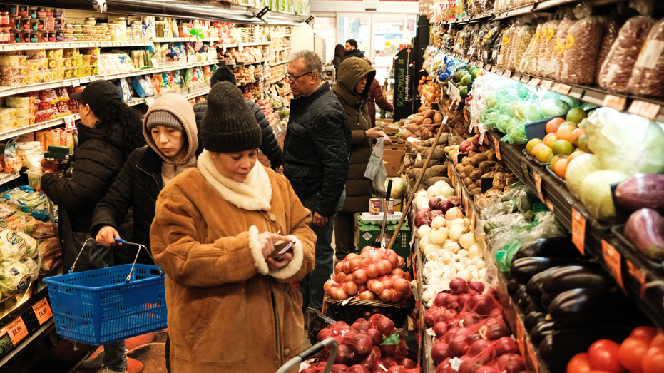Experts Criticize Mamdani's Government-Funded Grocery Stores