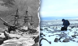 experts-identify-victims-of-a-catastrophic-arctic-disaster-23134 Experts identify victims of a catastrophic Arctic disaster
