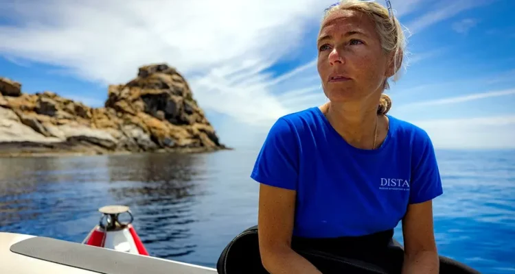 Four missing Italian divers found in Maldives' 'shark cave