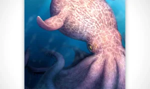 Giant Octopus Dominated Seas During Dinosaur Era, Fossils Reveal