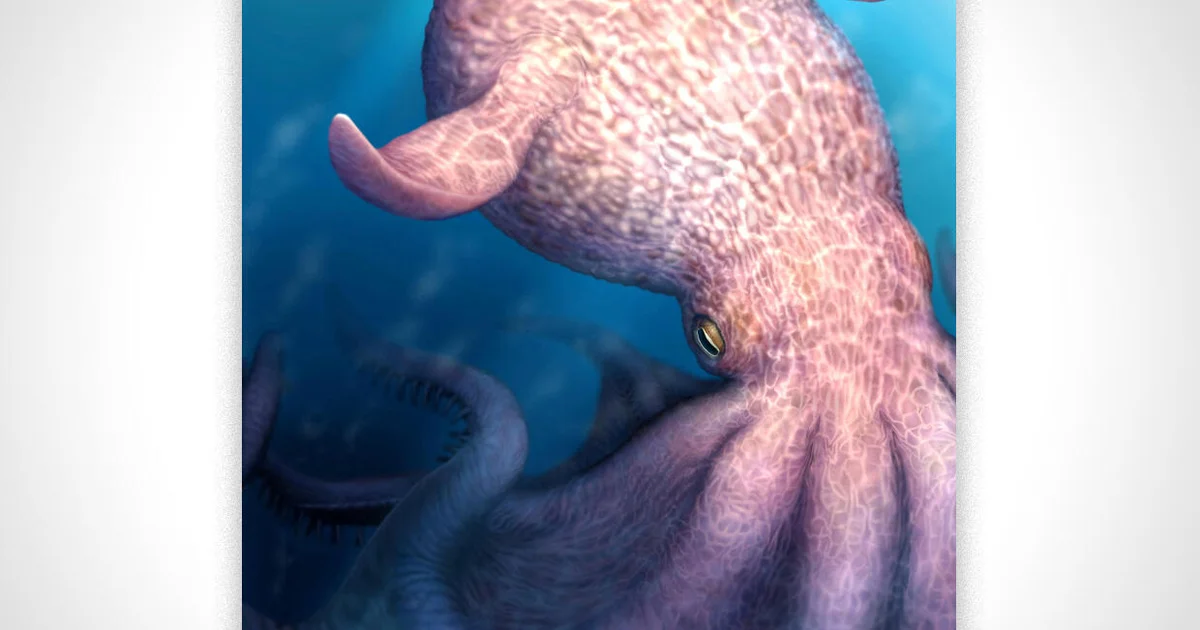 Giant Octopus Dominated Seas During Dinosaur Era, Fossils Reveal