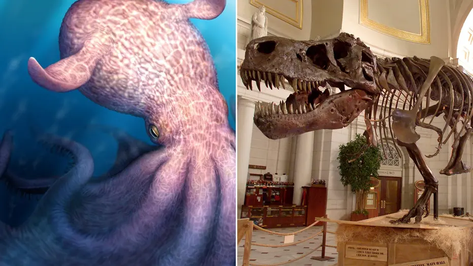 Gigantic' Ancient Octopus Crushed Prey with Jaws, Hunted Alongside Dinosaurs