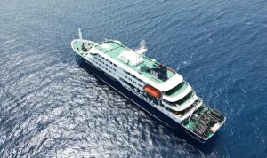 Hantavirus Possibly Spread Human-to-Human on Cruise Ship, WHO Reports