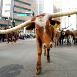 Mayor of Dallas Criticizes New York's 'Punishment of Success' While Promoting 'Y'all Street' to Wealthy Relocators