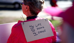 Michigan Democrats Propose Assisted Suicide Legalization Bill
