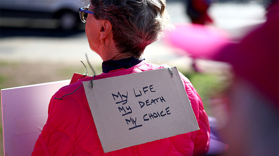 Michigan Democrats Propose Assisted Suicide Legalization Bill
