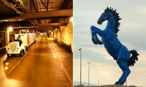 mysterious-airport-tunnels-to-open-beneath-hub-linked-to-conspiracy-theories-86295 Mysterious Airport Tunnels to Open Beneath Hub Linked to Conspiracy Theories