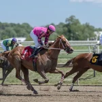 Preakness Stakes 2026: Your Guide to Horse Racing's Second Triple Crown Race