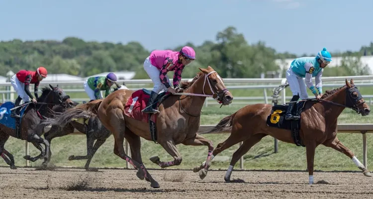 Preakness Stakes 2026: Your Guide to Horse Racing's Second Triple Crown Race
