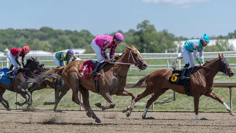Preakness Stakes 2026: Your Guide to Horse Racing's Second Triple Crown Race
