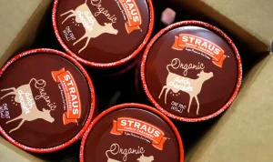 Recalled Ice Cream May Contain Metal Fragments